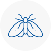 Moth Control Specialists In Writtle